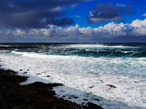 The Surf and the Shore von Louise Heusinkveld