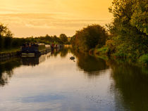 Grand Union Canal at Dawn von Louise Heusinkveld