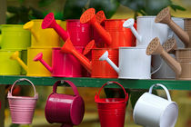 Watering Cans by Louise Heusinkveld