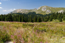 Ilgaz Mountains von Evren Kalinbacak