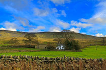 Mallerstang Dale, Cumbria von Louise Heusinkveld