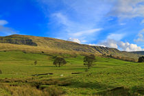 Mallerstang Dale, Cumbria by Louise Heusinkveld