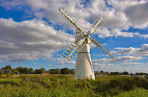Thurne Dyke Windmill, Norfolk by Louise Heusinkveld