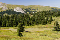 Ilgaz Mountains by Evren Kalinbacak