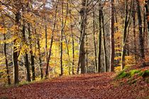 HERBST von Ivonne Wentzler