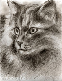 Cat Drawing von Hiroko Sakai