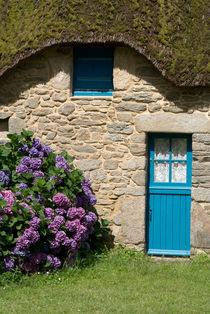 Blue door and hydrangeas - Blaue Tür und Hortensien von Ralf Rosendahl