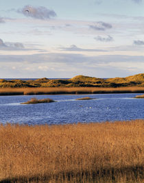 Nordsee von jaybe