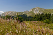 Ilgaz Mountains von Evren Kalinbacak