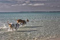 Ein Tag am Meer by Katrin Lantzsch