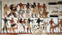 Egyptian Wall Painting of Temple of Beit El-Wali von RicardMN Photography