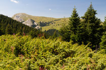 Ilgaz Mountains by Evren Kalinbacak