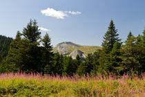 Ilgaz Mountains von Evren Kalinbacak