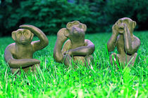 Die drei Affen "Sehen, Hören, Sprechen" von aidao