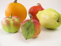 Quitte, Apfel und Kürbis von Heike Rau