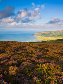 Porlock Bay, Exmoor, England by Craig Joiner