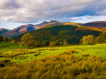 Skiddaw, Lake District National Park von Craig Joiner