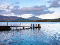 Jetty at Victora Bay on Derwent Water by Craig Joiner