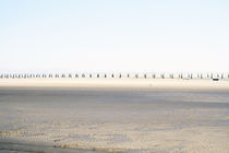 Wattenmeer by jaybe