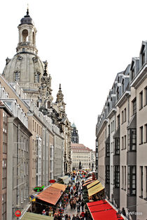 Dresden  by Angelika Wiedemeyer