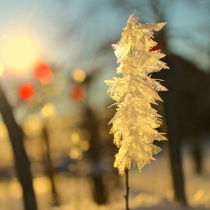 EISZEITEN by Ivonne Wentzler