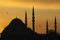 Suleymaniye Mosque by Evren Kalinbacak