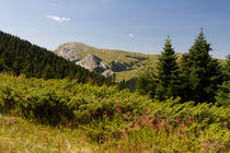 Ilgaz Mountains von Evren Kalinbacak