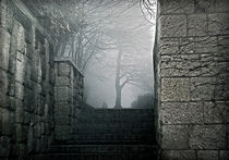A foggy stairway von Leopold Brix