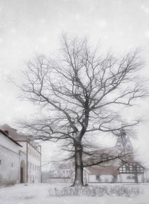 Wintertag von Franziska Rullert