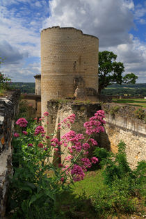 Chateau Chinon, Loire Valley, France by Louise Heusinkveld