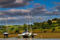 Beached boats on the River Avon, Devon von Louise Heusinkveld