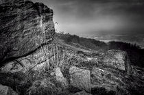 Chevin Surprise View Mono von Colin Metcalf