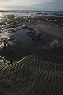 ocean pools and golden sand von dayle ann  clavin