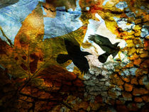 Autumns Crow von Robert Ball