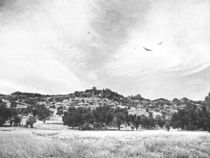  Upper Bidwell Park von Frank Wilson