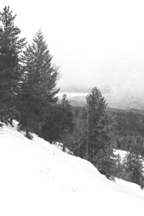 Sierras In Winter by Frank Wilson