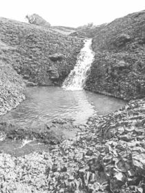 Table Mountain Waterfall von Frank Wilson