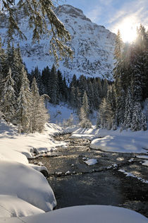 Bärgunt, Kleinwalsertal, Österreich von Matthias Hauser