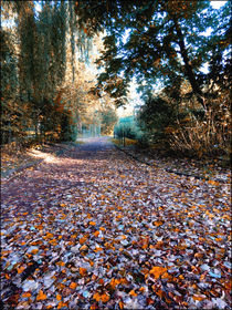 Herbstflucht von Nicole Frischlich