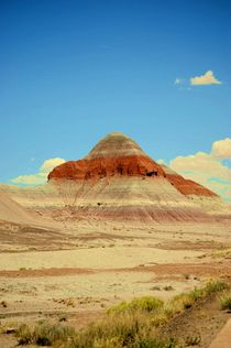 Southwest Landscape von Judy Hall-Folde