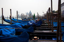Venice Gondolas - Italy by Gillian Sweeney
