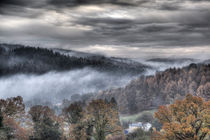 Mist Over The Forest by David Tinsley