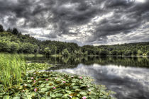 Summer Lilies by David Tinsley