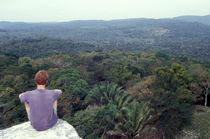 Belize Jungle von John Mitchell