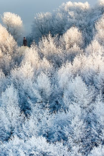 Snow Cottage by David Tinsley