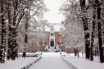 Castle in Winterdress by Annie Snel - van der Klok