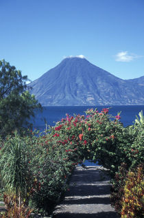 PATH TO THE VOLCANO Lake Atitlan Guatemala von John Mitchell