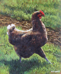 Single chicken walking around on grass von Martin  Davey