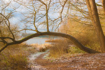 Elbwanderweg von pahit