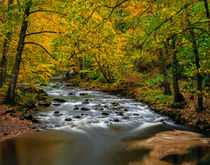 East Lyn River, Exmoor, England by Craig Joiner